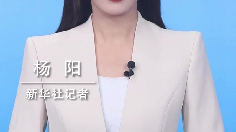 ELT工具参数规格解析：揭秘高效数据处理的背后